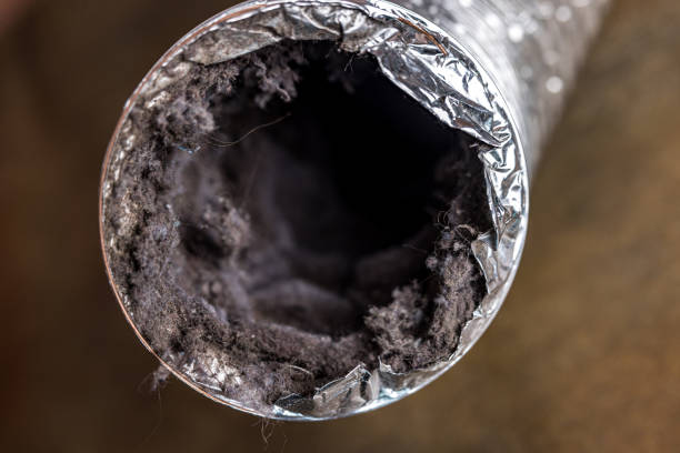 Best Affordable Air Duct Cleaning  in Nacogdoches, TX