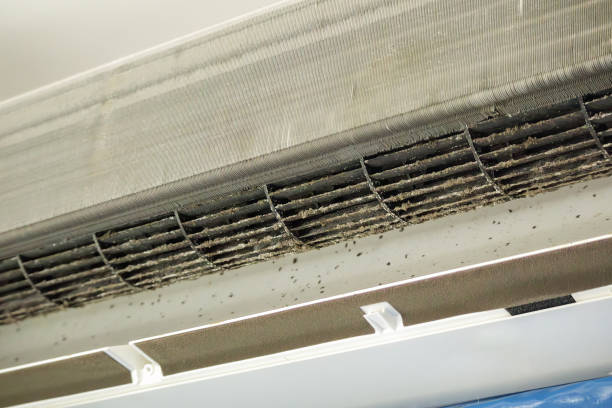 Best Dryer Vent Cleaning Services  in Nacogdoches, TX